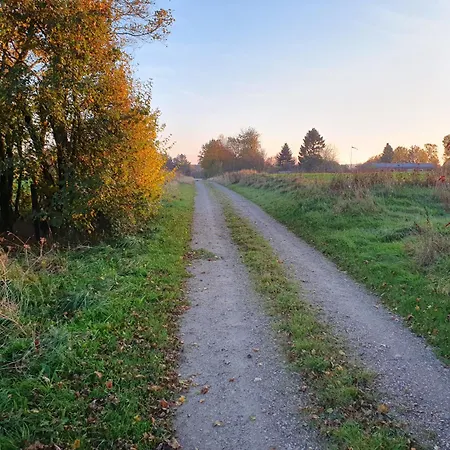 Nordborg Hejnsvi