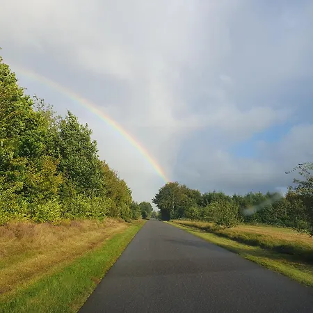 Nordborg Hejnsvi *