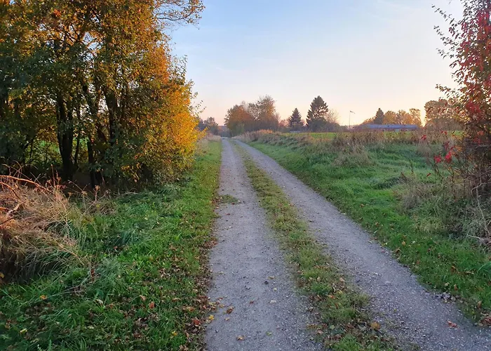 Nordborg Hejnsvi