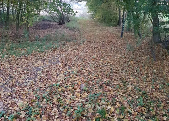 Nordborg Hejnsvi Hejnsvig