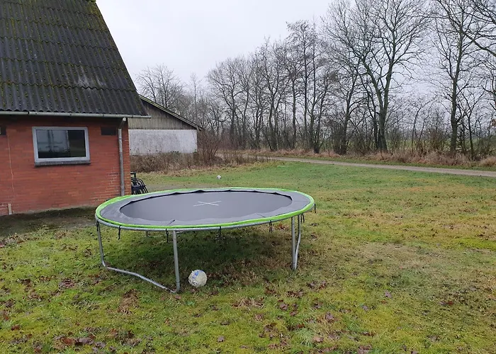 Nordborg Hejnsvi *